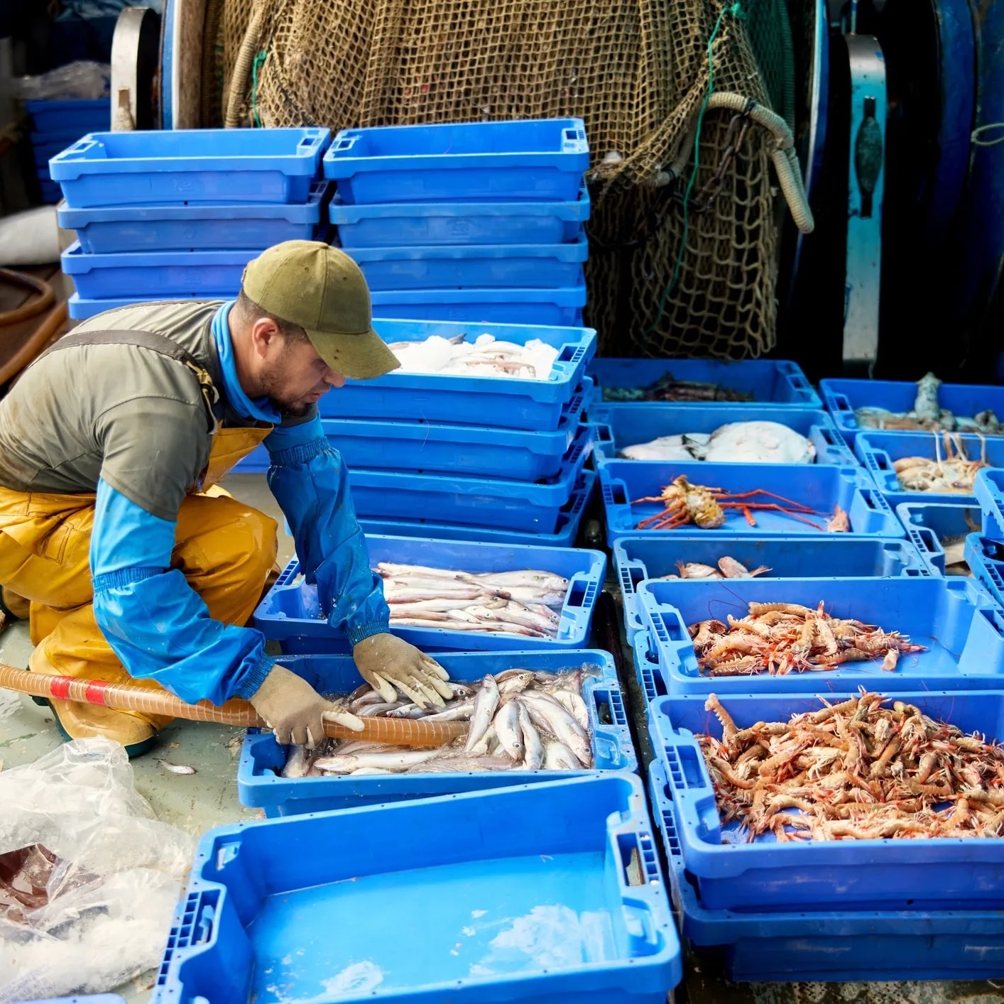 Fresh catch from the sea